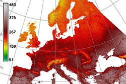 BIO5: Maximum temperature of the warmest month (°C*10)